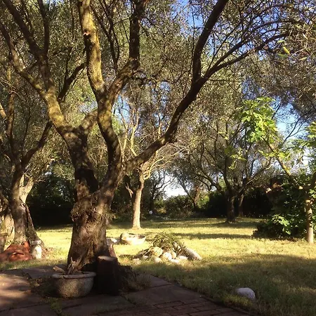 بيت للعطل Casa Rosalia Ortonovo